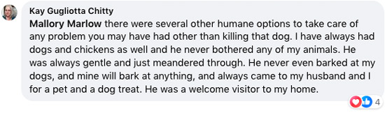 Facebook screenshot of comment: there were several other humane options to take care of any problem you may have had other than killing the dog. I have always had dogs and chickens as well and he never bothered any of my animals. He was always gentle and just meandered through. He never even barked at my dogs, and mine will bark at anything, and always came to my husband and I for a pet and a dog treat. He was a welcome visitor to my home.